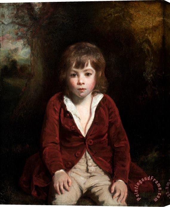 Sir Joshua Reynolds Portrait of Master Bunbury Stretched Canvas Print / Canvas Art