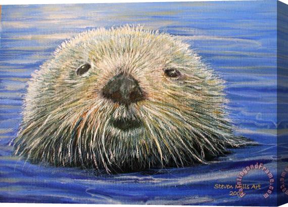 Steven Mills California Otter Stretched Canvas Print / Canvas Art