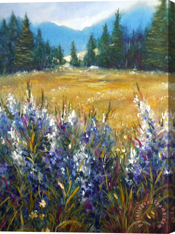 Steven Mills Sierra Meadow Stretched Canvas Painting / Canvas Art