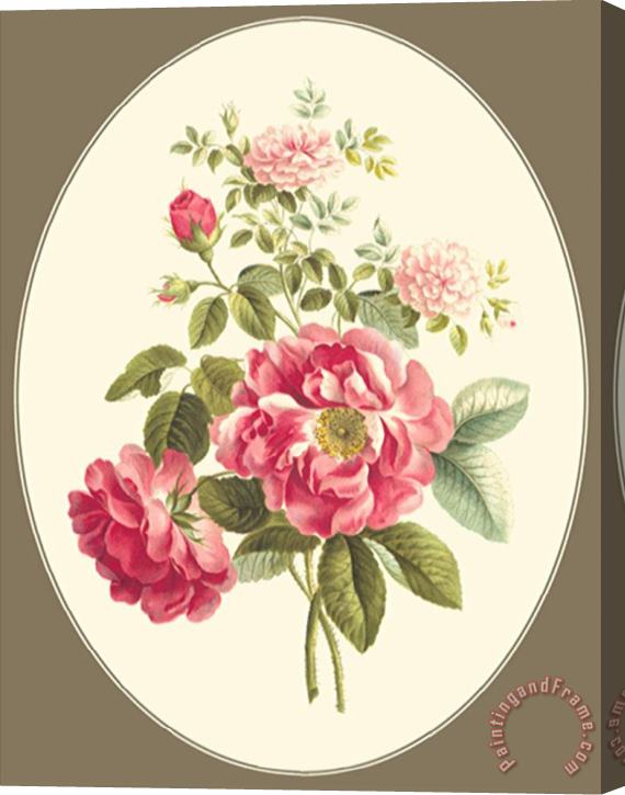 Sydenham Teast Edwards Antique Bouquet I Stretched Canvas Print / Canvas Art