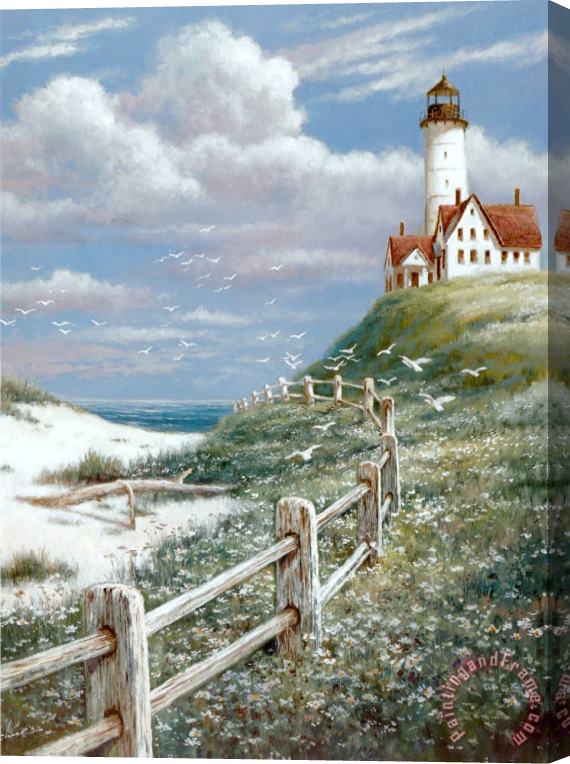 T. C. Chiu Lighthouse with Fence Stretched Canvas Print / Canvas Art