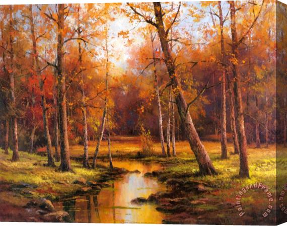 T. C. Chiu Meadow Stream Stretched Canvas Painting / Canvas Art
