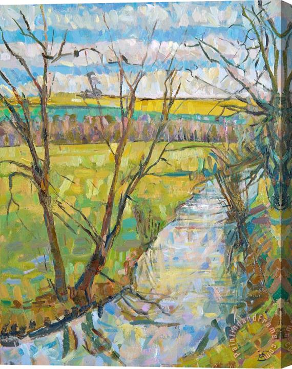 The Cherwell from Rousham II Erin Townsend Stretched Canvas Painting / Canvas Art