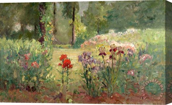 Theodore Clement Steele Iris & Trees (in The Flower Garden) Stretched Canvas Print / Canvas Art