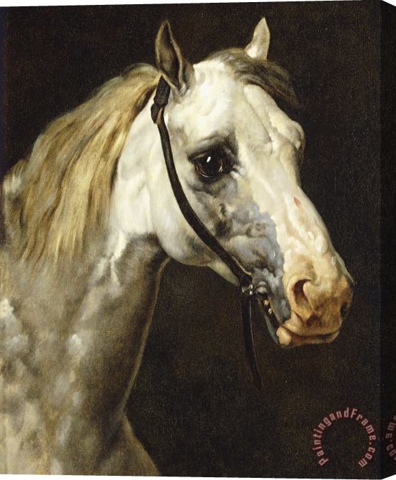 Theodore Gericault Head of a Piebald Horse Stretched Canvas Painting / Canvas Art