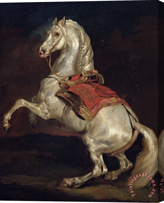 Theodore Gericault Napoleon's Stallion Tamerlan Stretched Canvas Print / Canvas Art