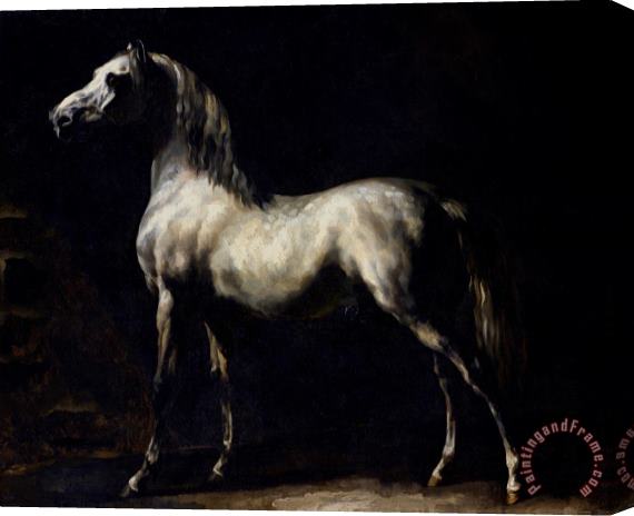 Theodore Gericault Study of a Dapple Grey Stretched Canvas Painting / Canvas Art