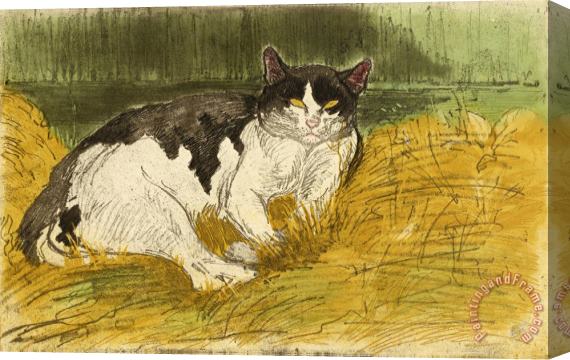 Theophile Alexandre Steinlen Vieux Chat Noir Et Blanc Dans L'herbe Stretched Canvas Print / Canvas Art