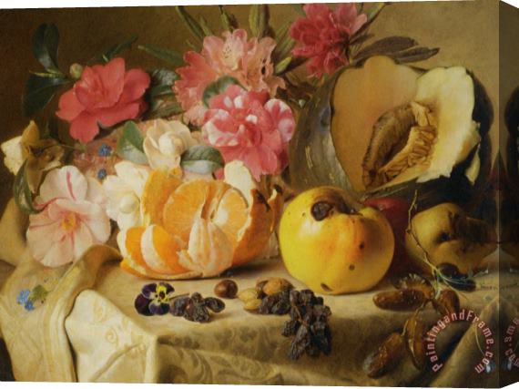 Theude Gronland Still Life with Autumn Fruits Stretched Canvas Painting / Canvas Art
