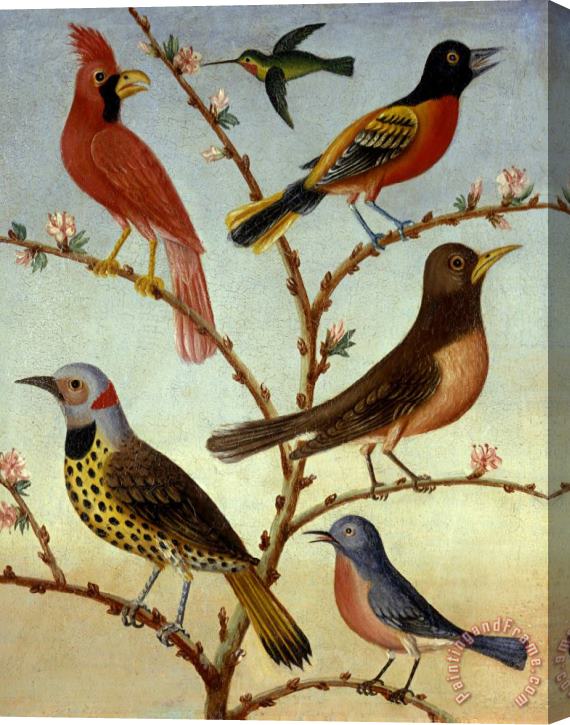 Thomas Coke Ruckle Birds Stretched Canvas Print / Canvas Art