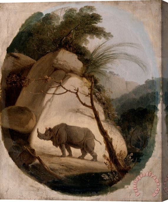 Thomas Daniell The Indian Rhinoceros Stretched Canvas Print / Canvas Art