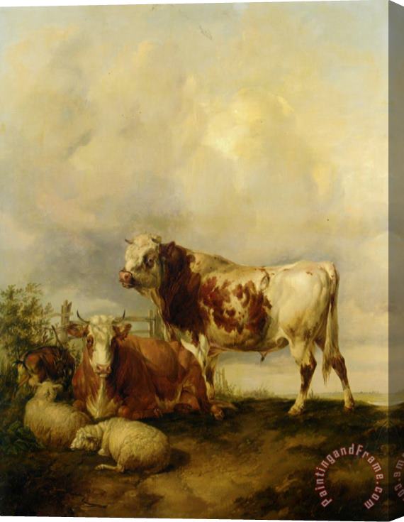Thomas Sidney Cooper A Bull And Cow with Two Sheep And Goat Stretched Canvas Painting / Canvas Art