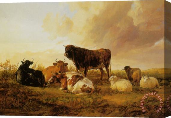 Thomas Sidney Cooper Cattle And Sheep in a Field Stretched Canvas Print / Canvas Art