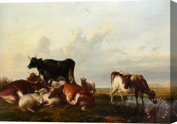 Thomas Sidney Cooper Cattle And Sheep Probably in Canterbury Meadows Stretched Canvas Painting / Canvas Art