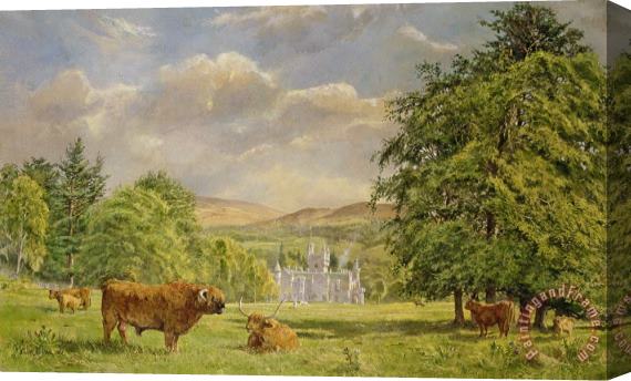 Tim Scott Bolton Bulls at Balmoral Stretched Canvas Painting / Canvas Art
