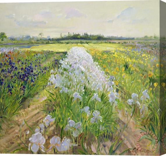 Timothy Easton Down the Line Stretched Canvas Painting / Canvas Art