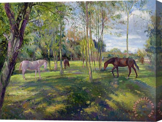 Timothy Easton In the Rectory Paddock Stretched Canvas Painting / Canvas Art