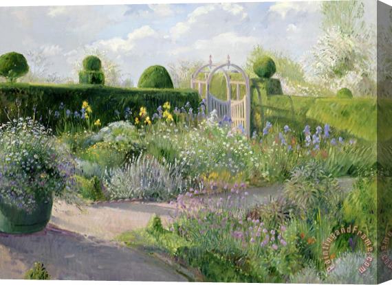 Timothy Easton Irises in the Herb Garden Stretched Canvas Print / Canvas Art