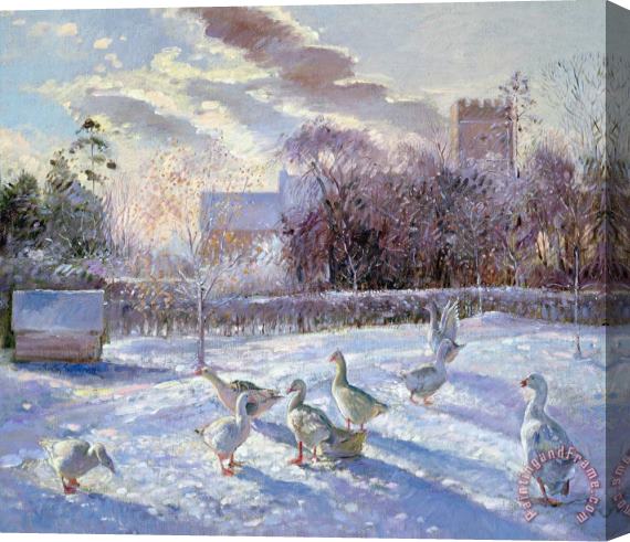 Timothy Easton Winter Geese in Church Meadow Stretched Canvas Print / Canvas Art