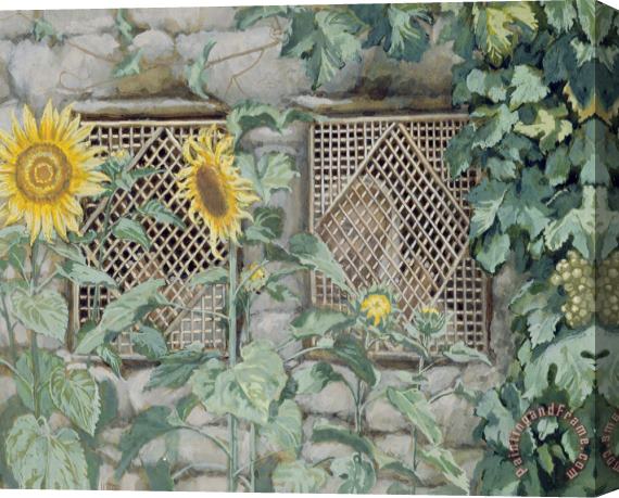 Tissot Jesus Looking through a Lattice with Sunflowers Stretched Canvas Print / Canvas Art