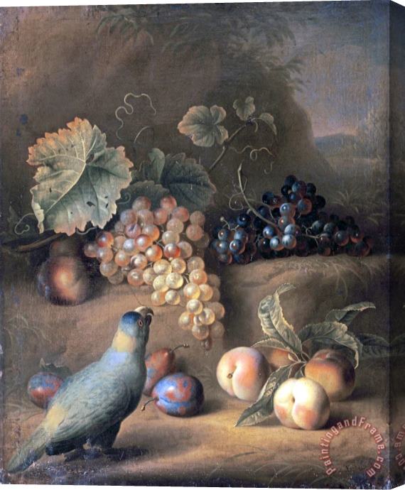 Tobias Stranovius A Parrot with Grapes, Peaches And Plums in a Landscape Stretched Canvas Print / Canvas Art