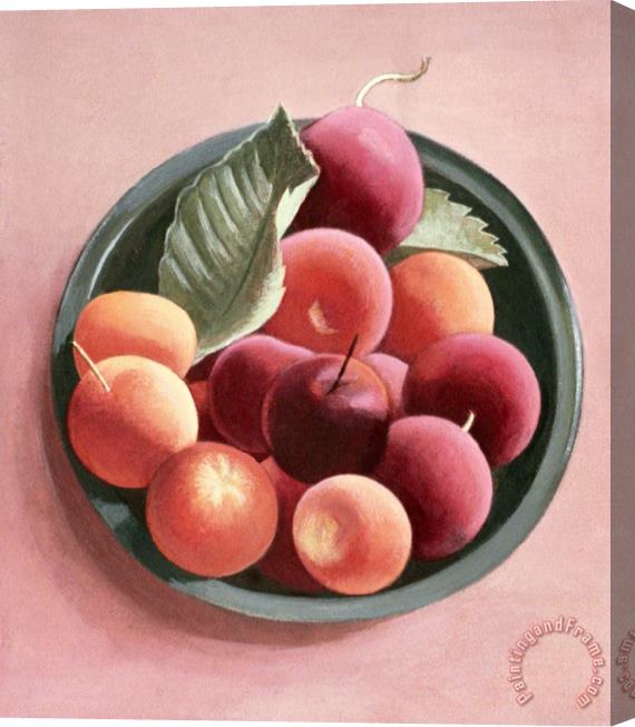 Tomar Levine Bowl Of Fruit Stretched Canvas Painting / Canvas Art