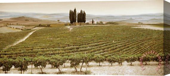 Trevor Neal Tree Circle - Tuscany Stretched Canvas Painting / Canvas Art