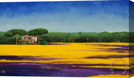 Trevor Neal Tuscan Landcape Stretched Canvas Print / Canvas Art