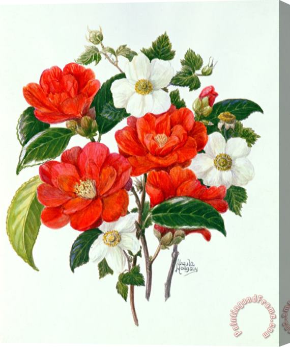 Ursula Hodgson Camellia Adolf Audusson Stretched Canvas Painting / Canvas Art