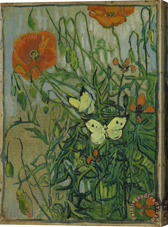 Vincent van Gogh Butterflies And Poppies Stretched Canvas Painting / Canvas Art