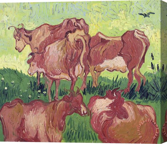 Vincent van Gogh Cows Stretched Canvas Painting / Canvas Art