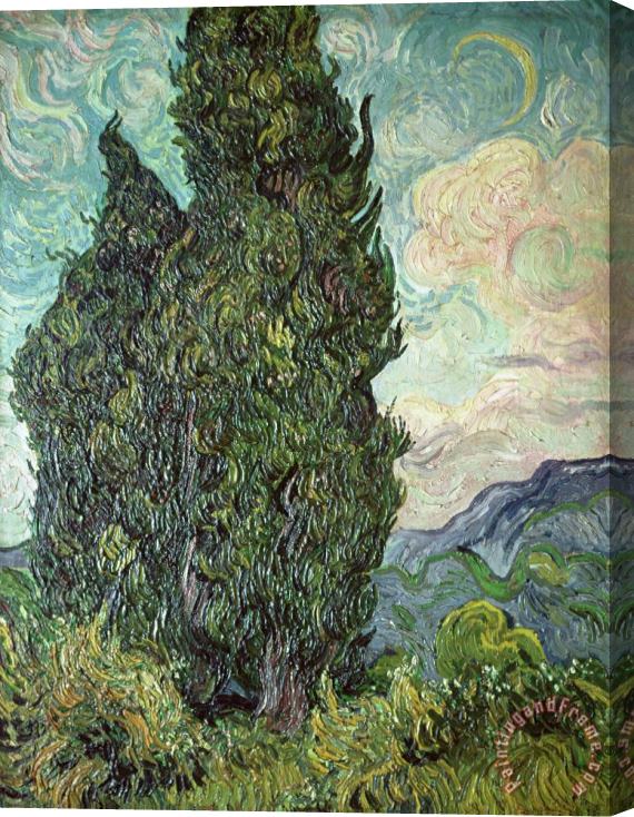 Vincent Van Gogh Cypresses Stretched Canvas Painting / Canvas Art