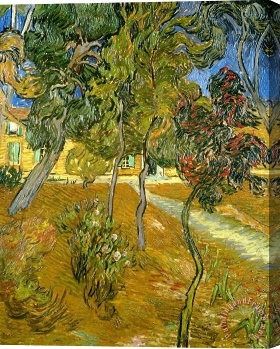 Vincent van Gogh Garden of Saint Paul's Hospital Stretched Canvas Painting / Canvas Art