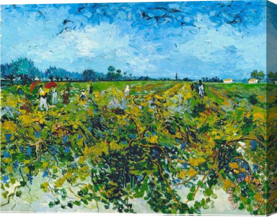 Vincent van Gogh Green Vineyard Stretched Canvas Painting / Canvas Art