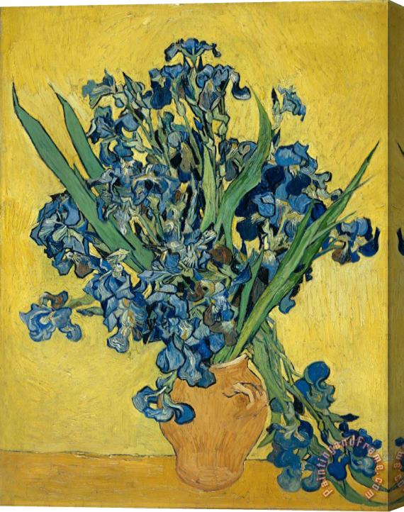 Vincent van Gogh Irises Stretched Canvas Print / Canvas Art