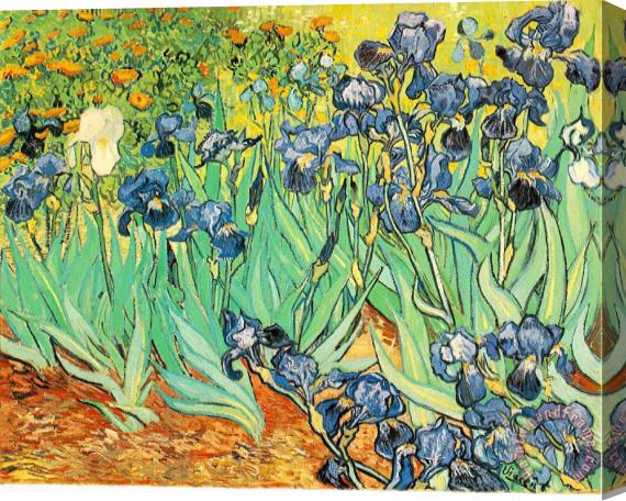Vincent van Gogh Irises Stretched Canvas Painting / Canvas Art