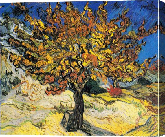 Vincent van Gogh Mulberry-tree Stretched Canvas Painting / Canvas Art