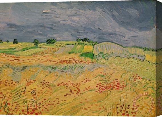 Vincent van Gogh Plain At Auvers Stretched Canvas Print / Canvas Art