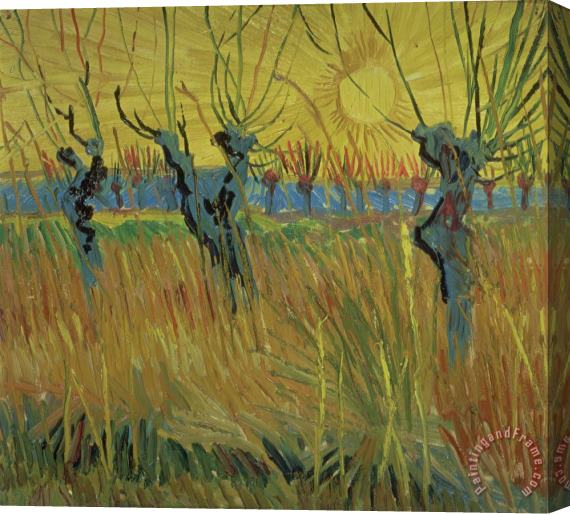 Vincent Van Gogh Pollarded Willows and Setting Sun Stretched Canvas Print / Canvas Art