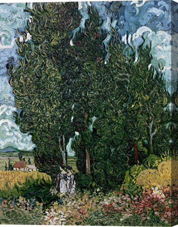 Vincent van Gogh The Cypresses Stretched Canvas Painting / Canvas Art