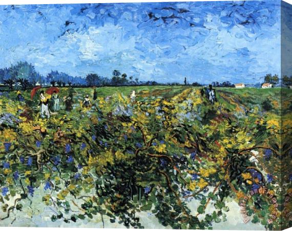 Vincent van Gogh The Green Vinyard II Stretched Canvas Painting / Canvas Art