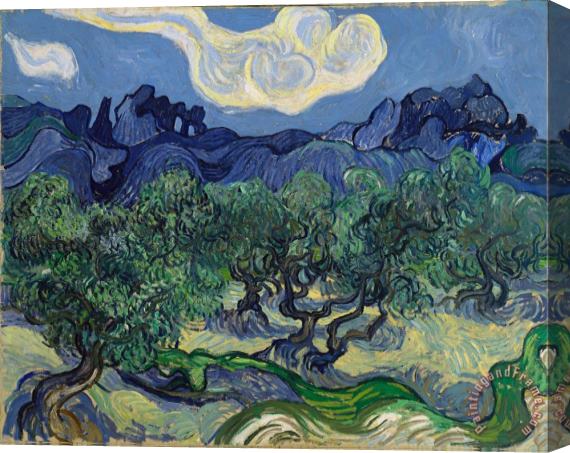 Vincent van Gogh The Olive Trees Stretched Canvas Print / Canvas Art