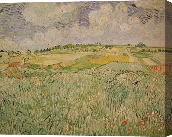 Vincent van Gogh The Plain At Auvers Stretched Canvas Painting / Canvas Art