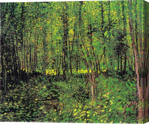 Vincent van Gogh Trees And Underwood Stretched Canvas Painting / Canvas Art