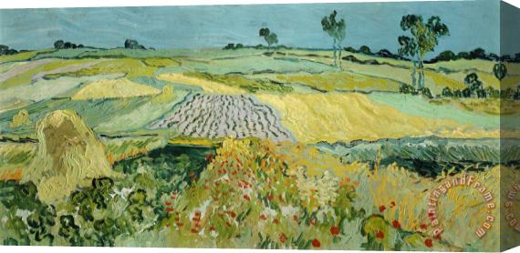 Vincent van Gogh Wheatfields Near Auvers-sur-oise Stretched Canvas Print / Canvas Art