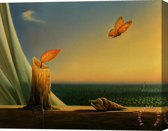 Vladimir Kush Born to Fly Stretched Canvas Painting / Canvas Art