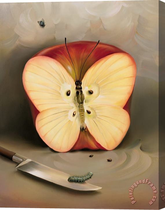 Vladimir Kush Butterfly Apple Stretched Canvas Print / Canvas Art
