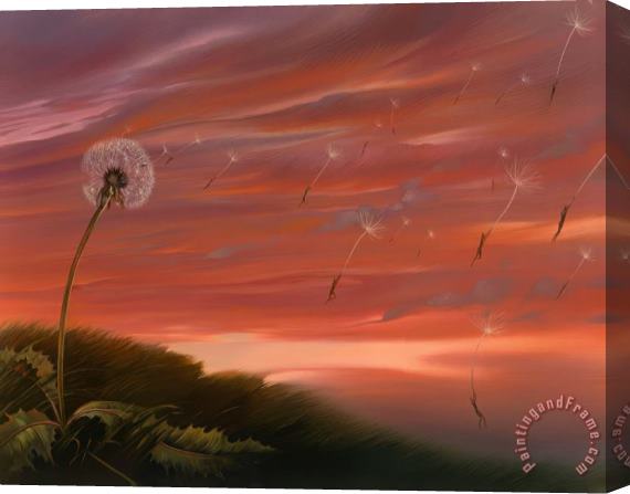 Vladimir Kush Flown with The Wind Stretched Canvas Print / Canvas Art