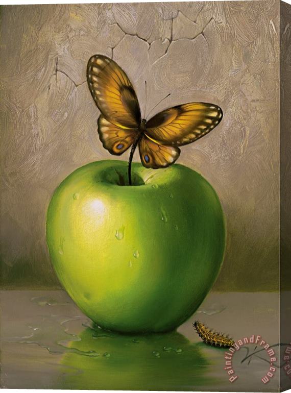 Vladimir Kush Green Apple Stretched Canvas Print / Canvas Art
