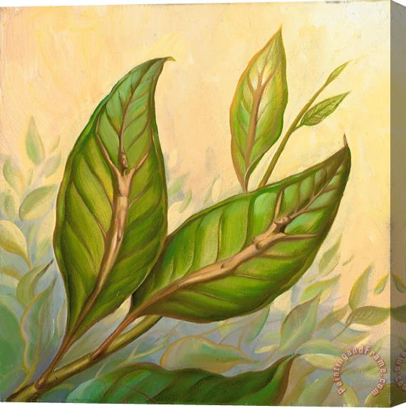 Vladimir Kush Leaves of One Tree Stretched Canvas Painting / Canvas Art